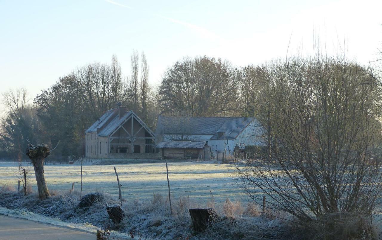 Velpe 55 Villa Bierbeek Exterior photo
