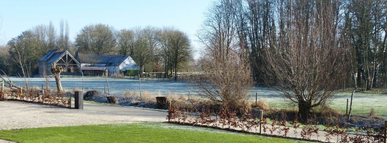 Velpe 55 Villa Bierbeek Exterior photo